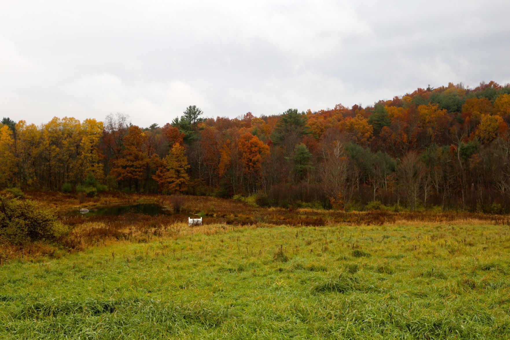 Dionondehowa Wildlife Sanctuary